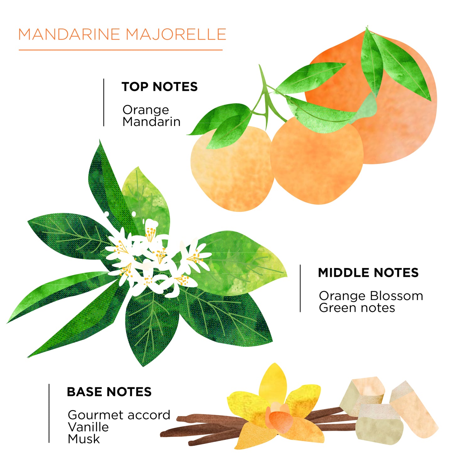 Mandarine Majorelle Reed Diffuser