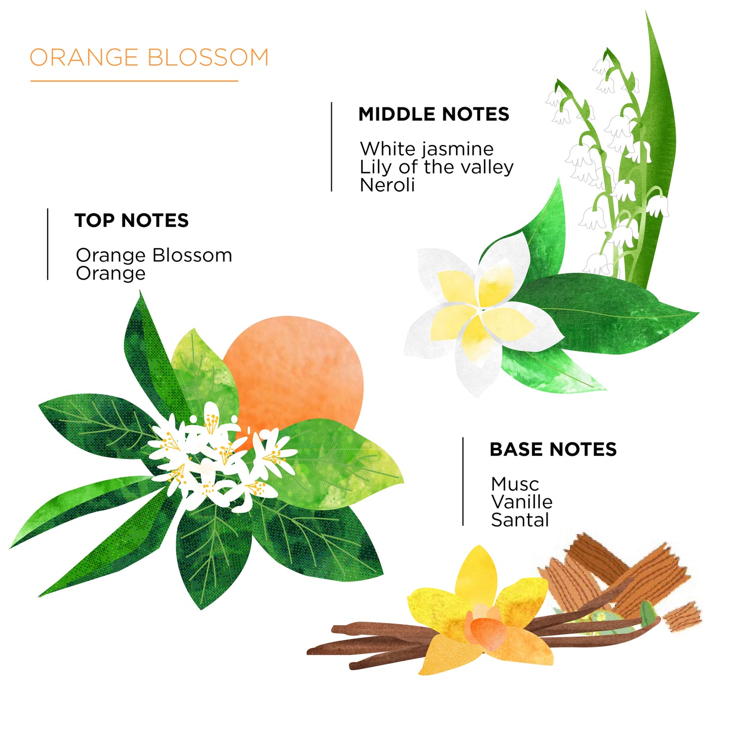 Orange Blossom Reed Diffuser