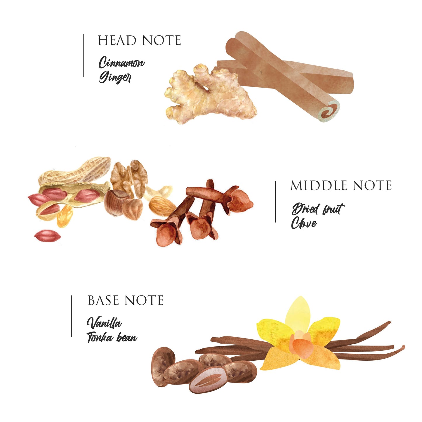 Tajine Candle - Places des Epices