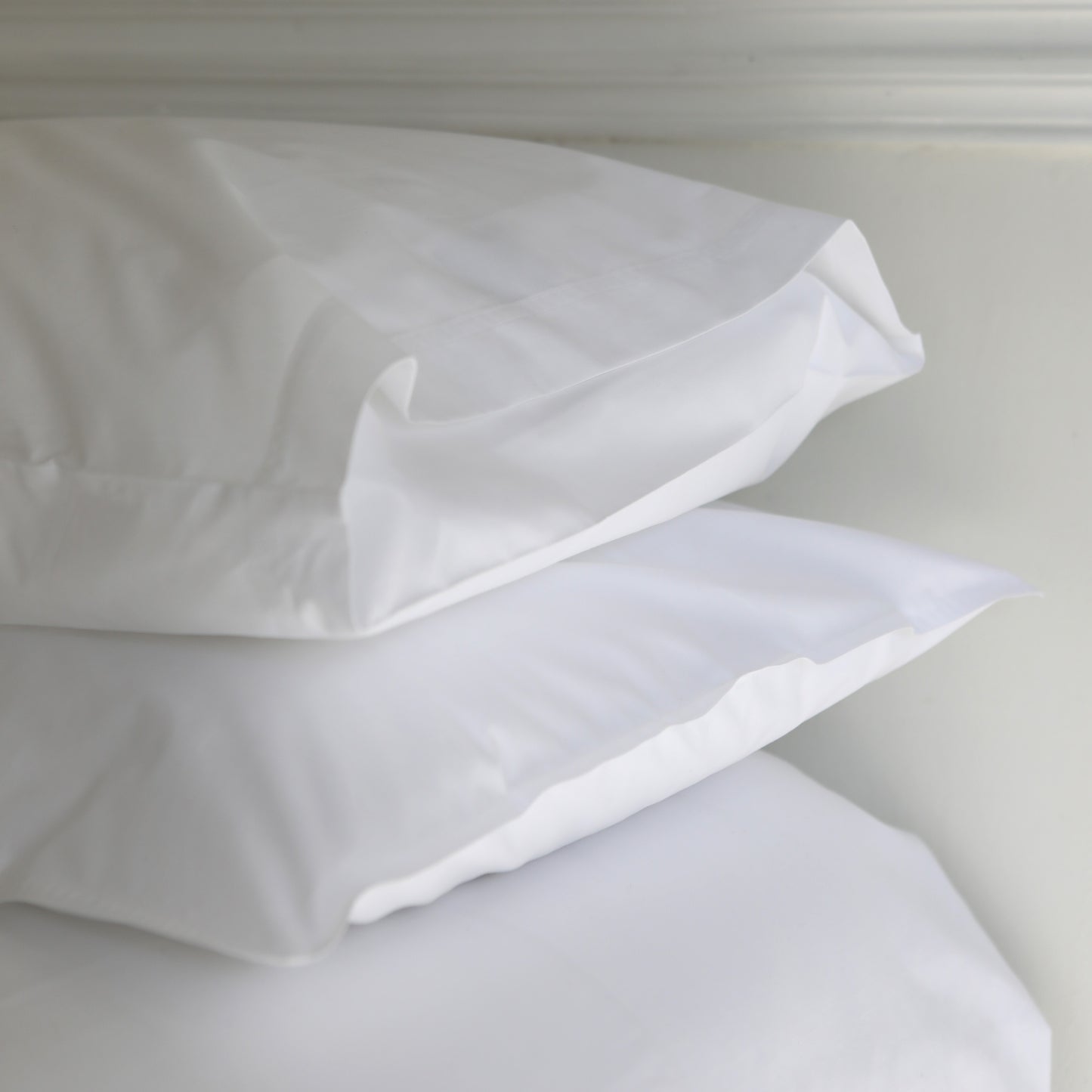 Rest White