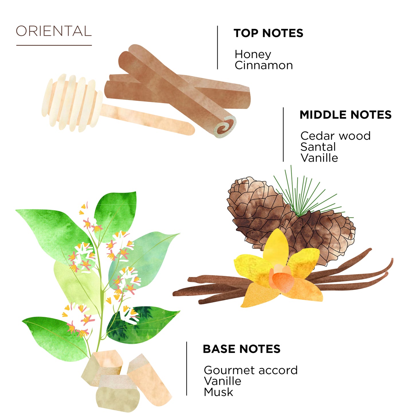 Côté Bougie Candle Orientale Fragrance Notes