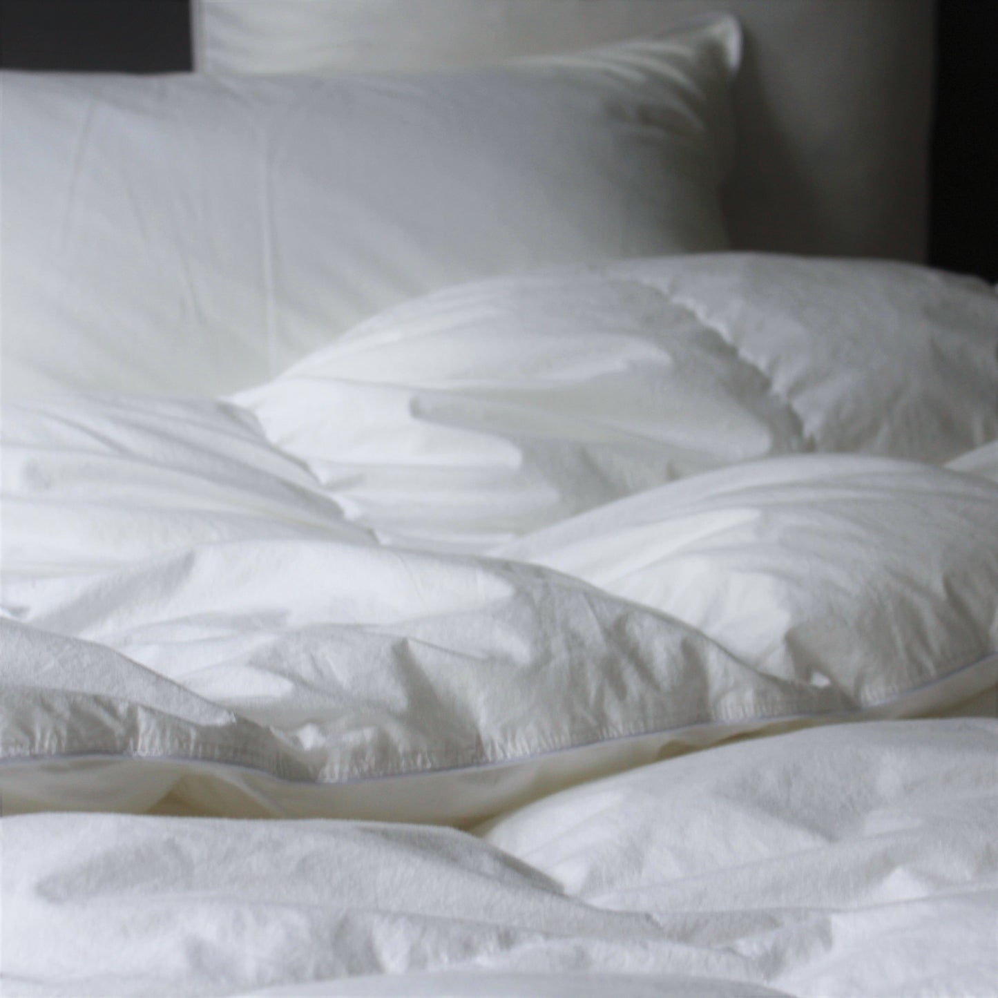 Down Alternative ECO Duvet and Pillows