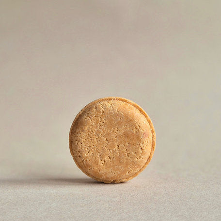 solid shampoo bar