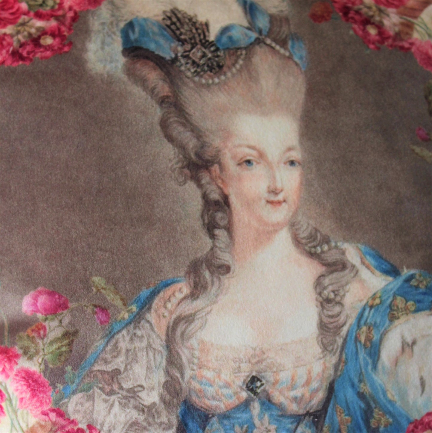 Marie Antoinette Velvet Cushion