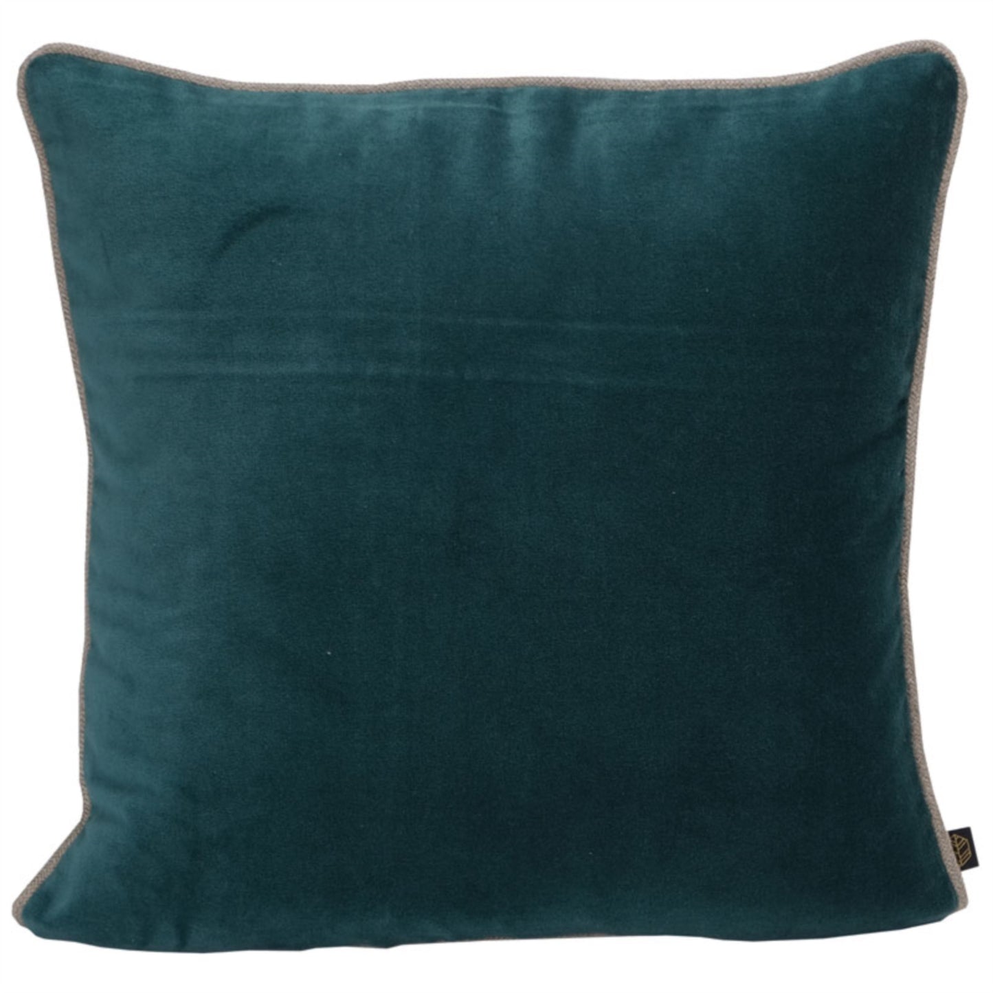 Peacock velvet cushion