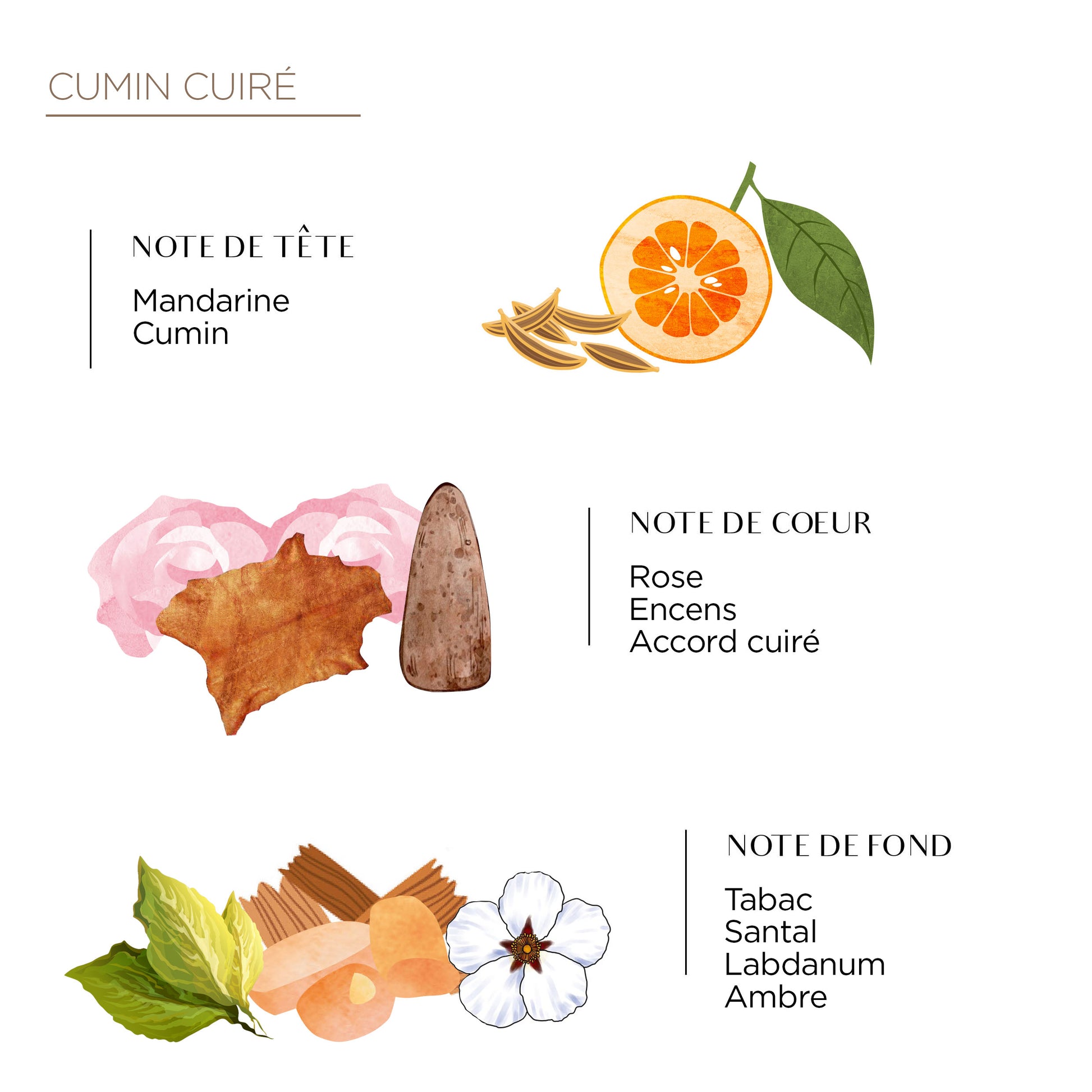 Cote Bougie Berber Clay Candle - Cumin Fragrance Notes