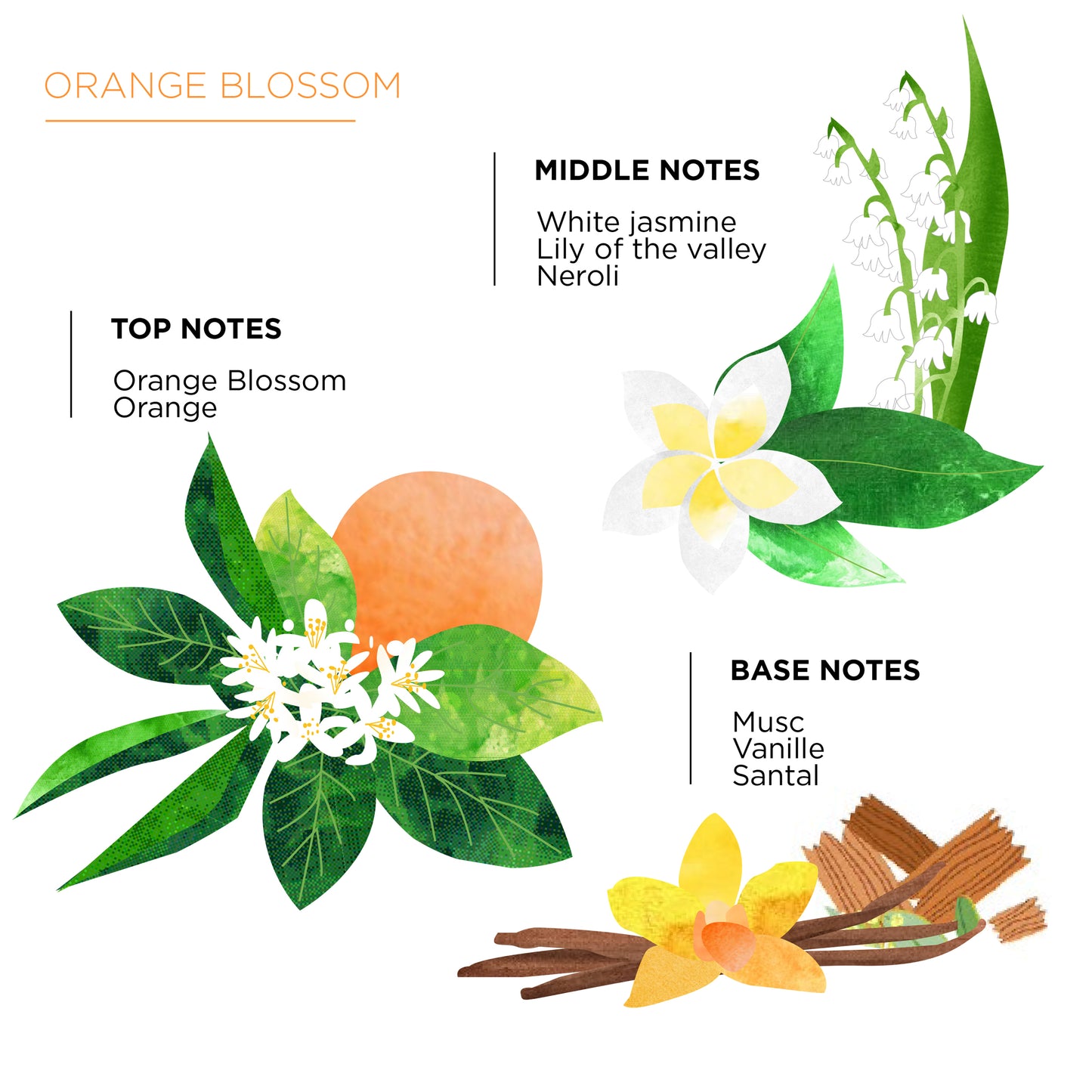 Cote Bougie Candle Orange Blossom Fragrance Notes