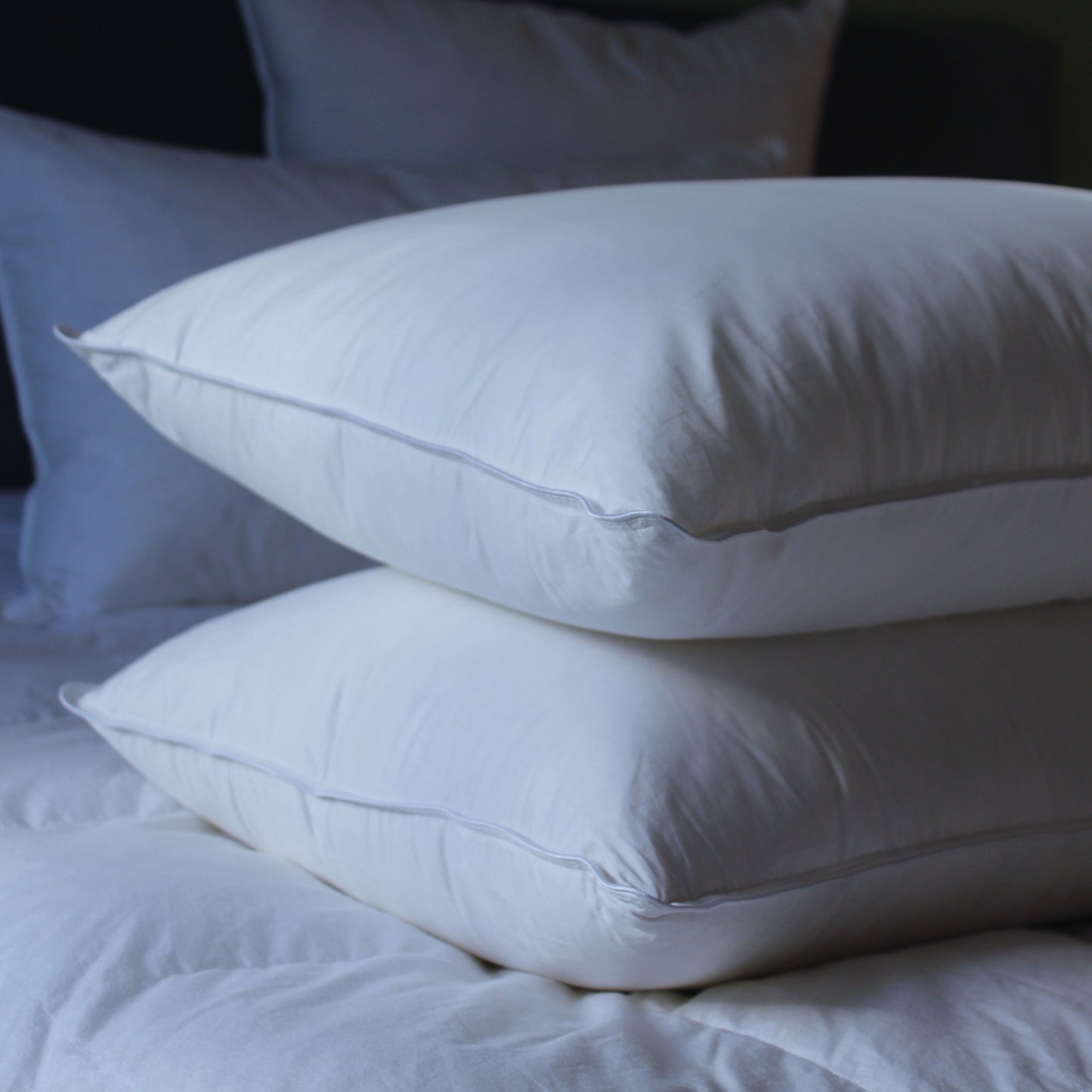 Duck Feather/Down Pillow Pair
